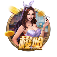 🚨夏季二阵：霍兰&克尼佩尔&阿杰伊